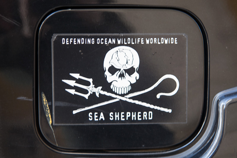 Naklejka "Sea Shepherd" na samochodzie