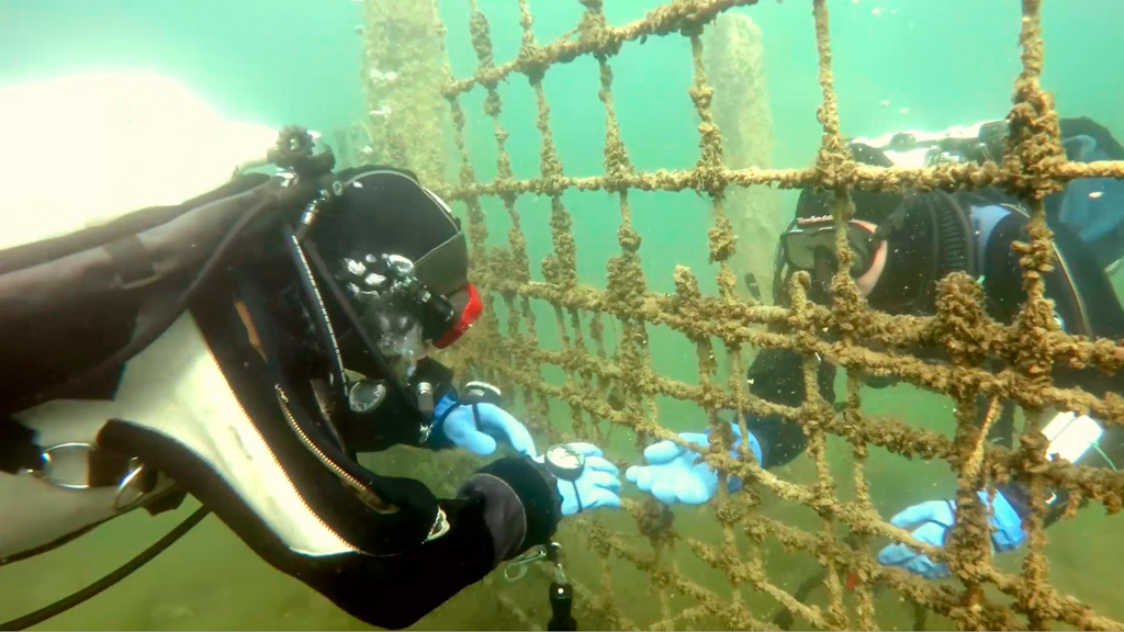 Filmowanie podwodne - kamerzysta rejestruje scenkę odgrywaną przez partnerów