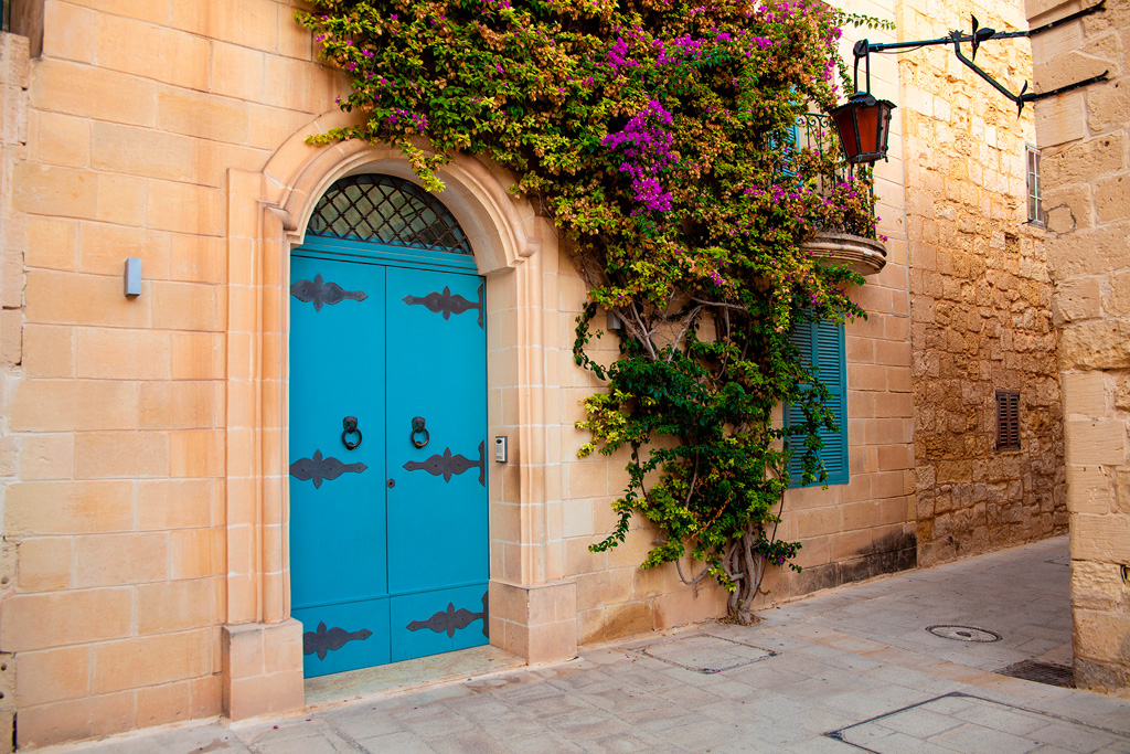 Kamienny mur domu, niebieskie drzwi, na ścianie rośliny