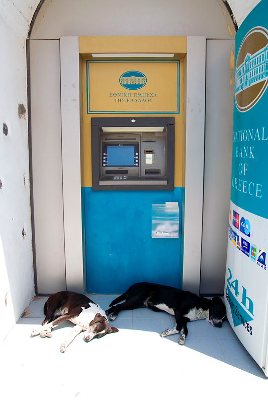 Dwa psy śpiące pod bankomatem w Grecji