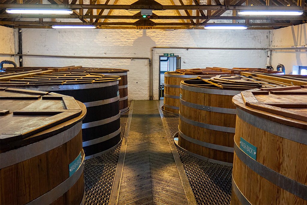 Islay whisky - pomieszczenie kadzi fermentacyjnych