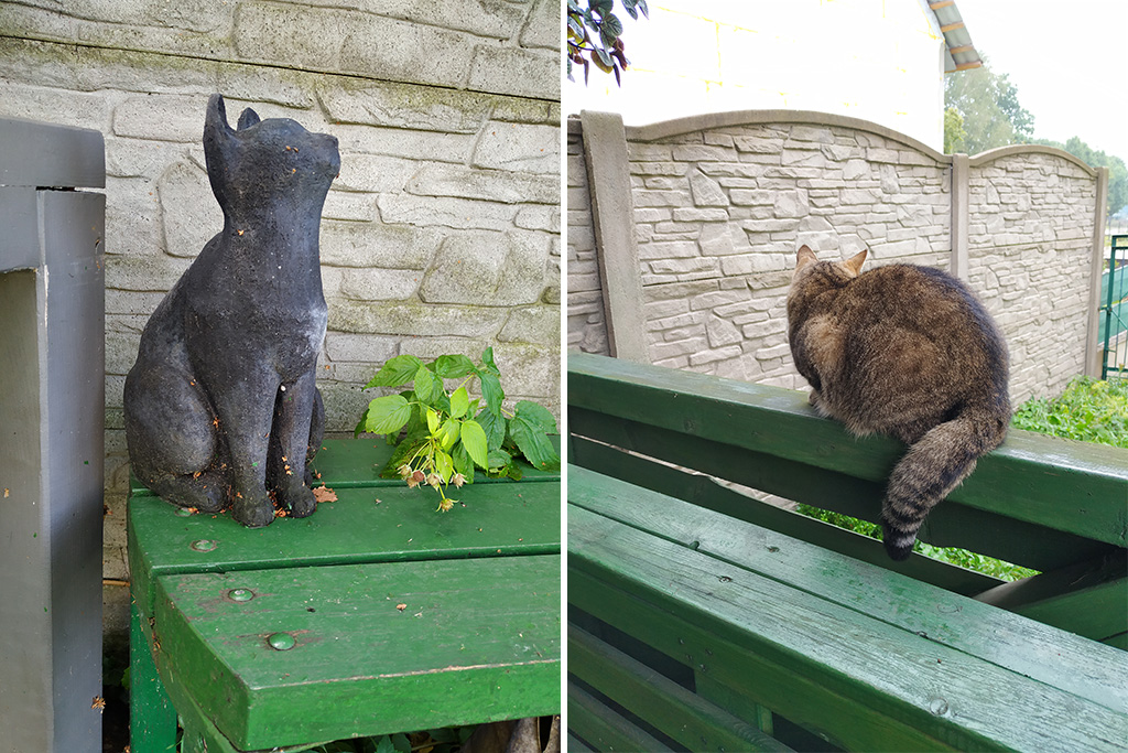 Koty z Zielonego Kota – jedna figurka i jeden prawdziwy ;)