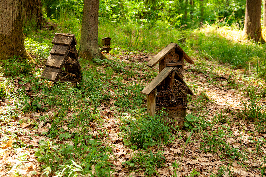 Arboretum Kudypy – domki dla owadów