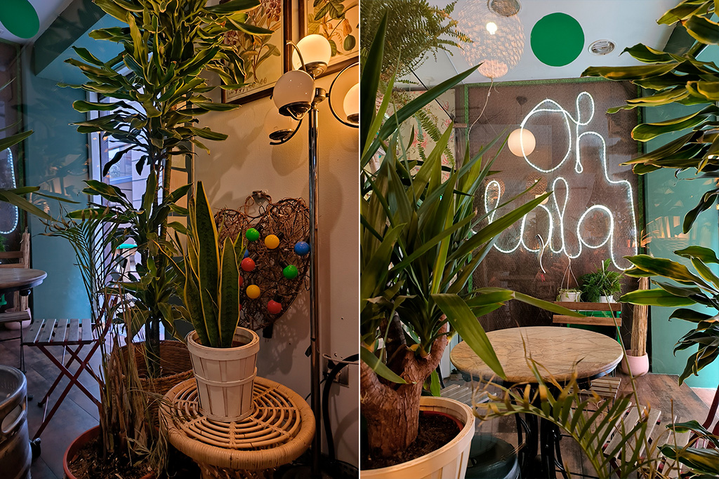 Rośliny w Cafe Botanico