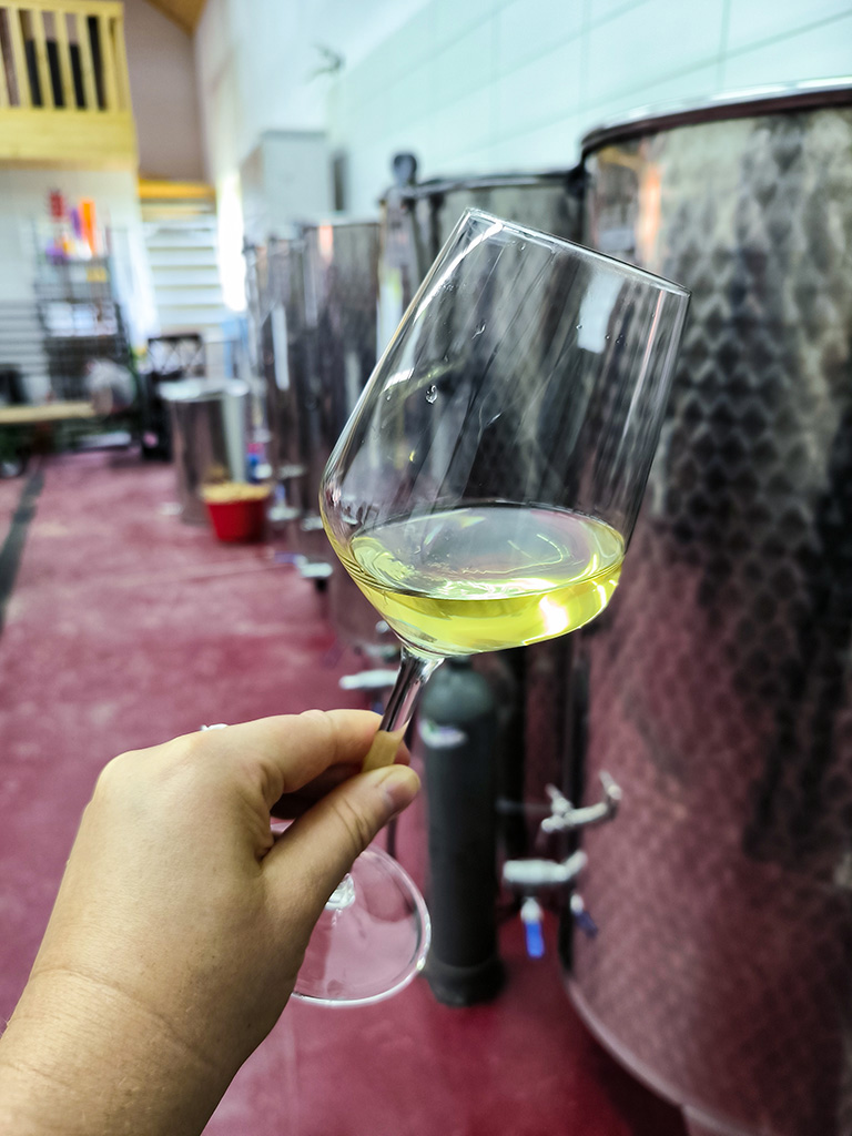 Winnica Tomani – białe wino w kieliszku na tle tanków