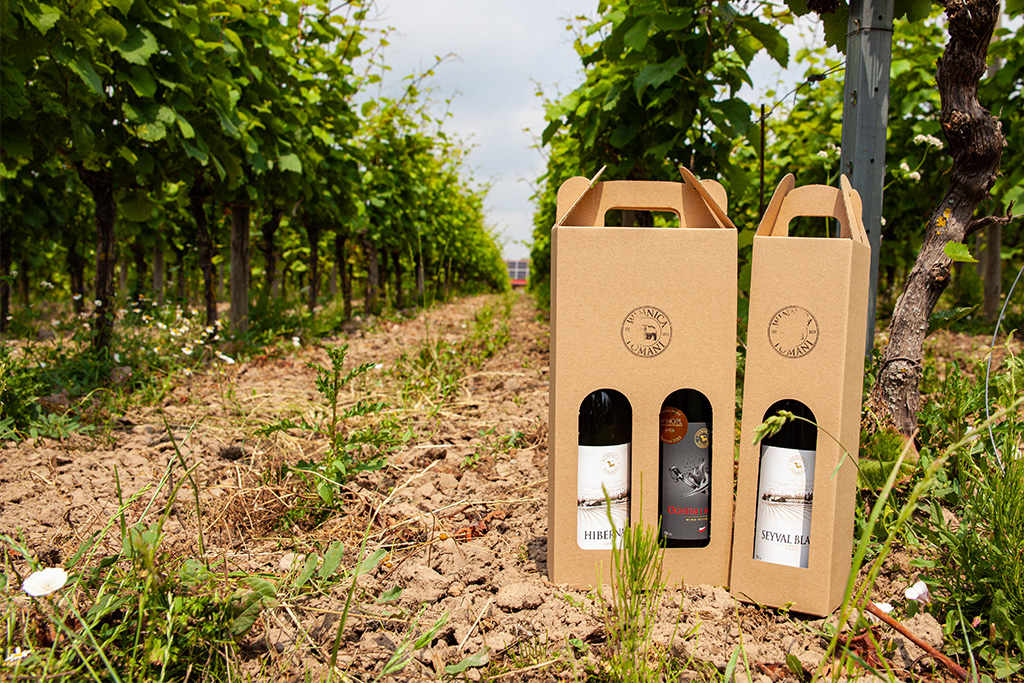 Winnica Tomani – kartony z winem na tle winorośli